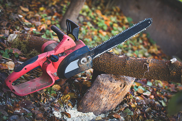 Best Leaf Removal  in Lincoln University, PA